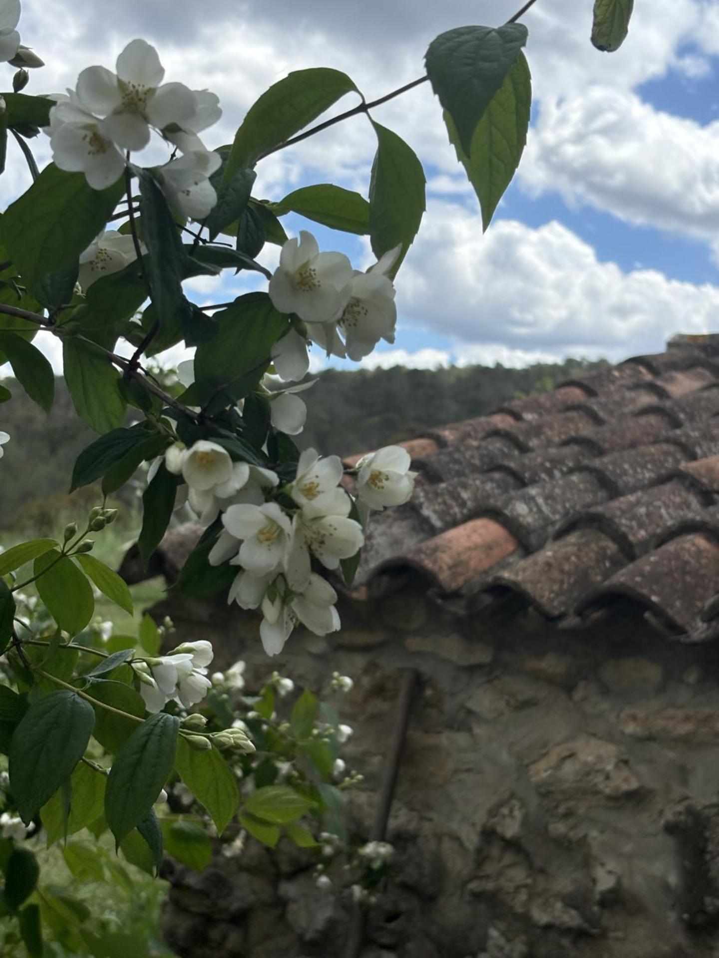 Casa Rural En Un Paraje Natural Enguera Exteriér fotografie